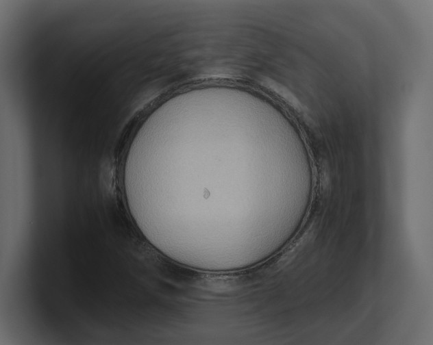 X0000100481258200806271155