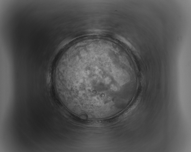 X0000100481259200806271155