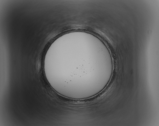 X0000100481261200806271155