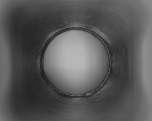X0000100481264200806271155