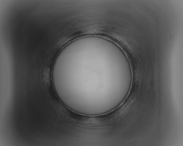 X0000100481265200806271155
