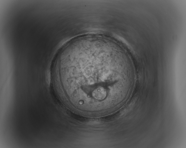 X0000100481267200806271155