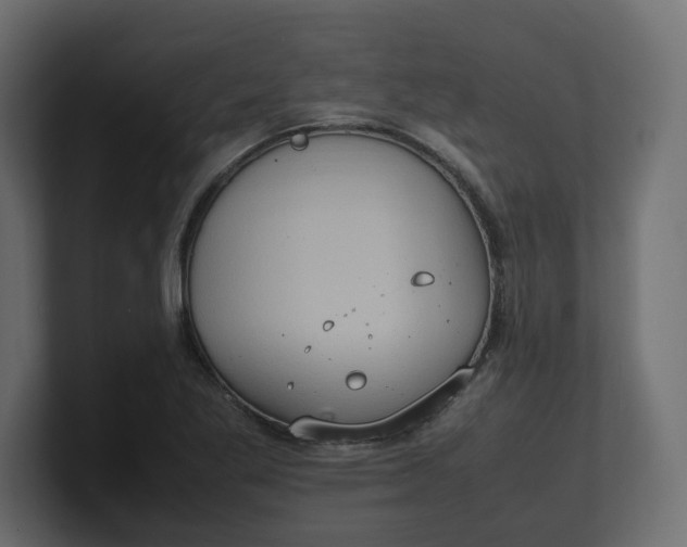 X0000100481269200806271155