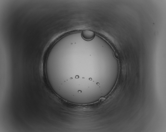X0000100481270200806271155