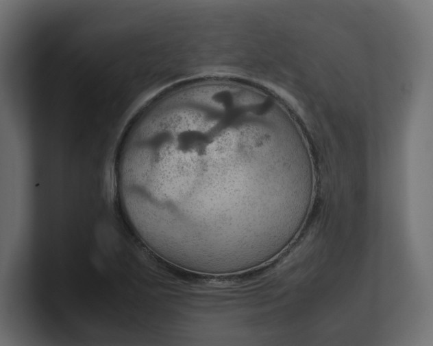X0000100481271200806271155
