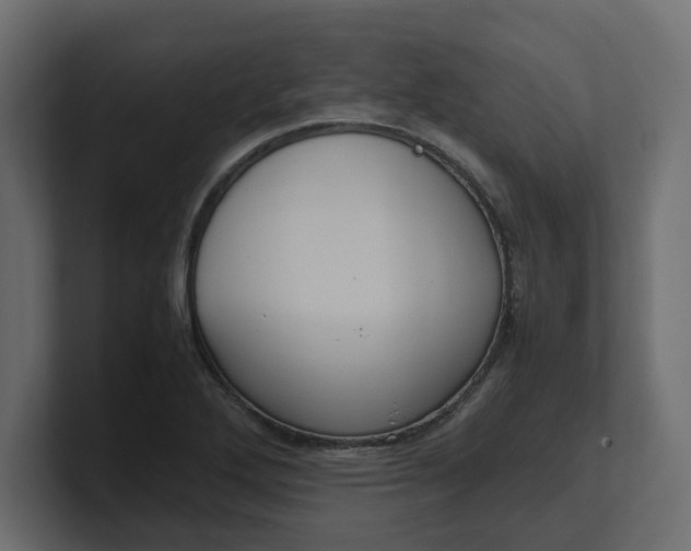 X0000100481272200806271155