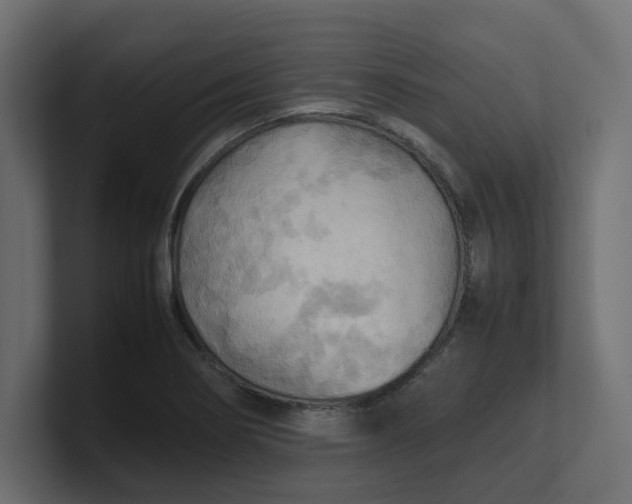 X0000100481274200806271155