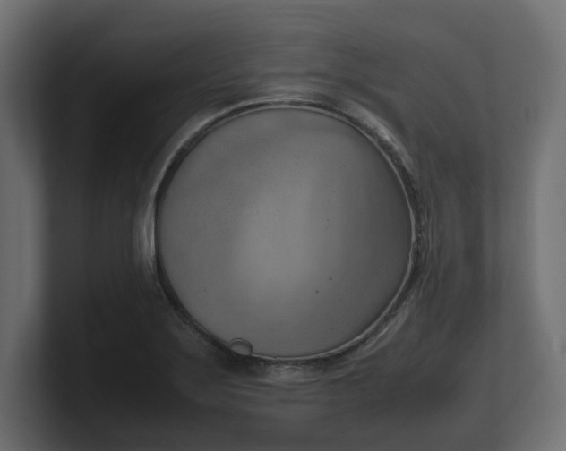 X0000100481275200806271154