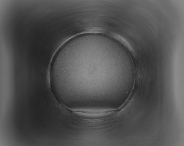X0000100481276200806271154