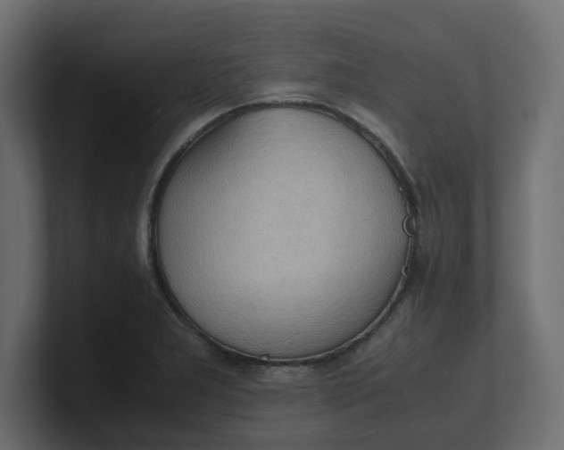 X0000100481277200806271154