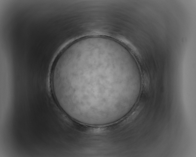 X0000100481278200806271154