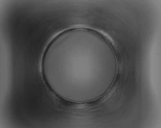X0000100481279200806271154