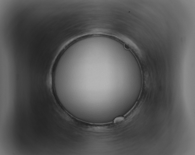 X0000100481280200806271154