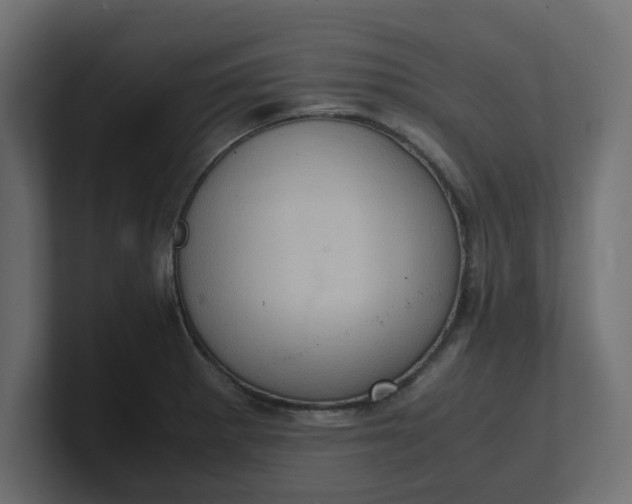 X0000100481281200806271154