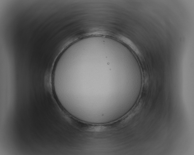 X0000100481282200806271154
