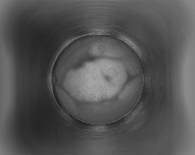 X0000100481283200806271154