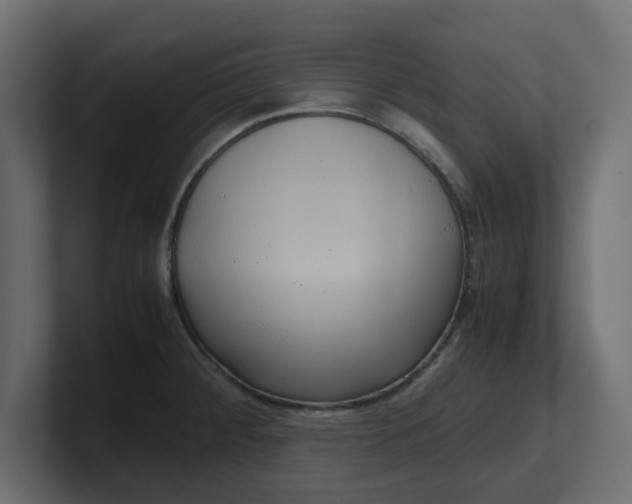 X0000100481284200806271154