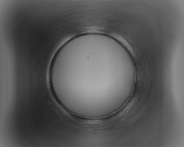 X0000100481285200806271154