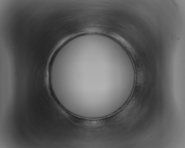 X0000100481286200806271154