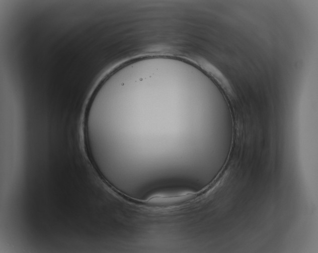 X0000100481288200806271154