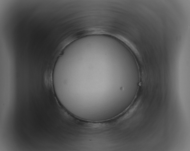 X0000100481289200806271154