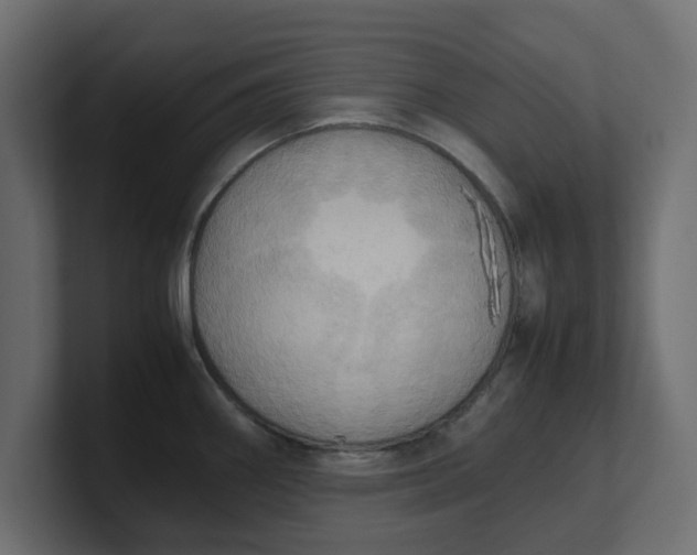 X0000100481290200806271154
