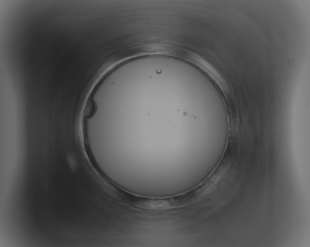 X0000100481291200806271154