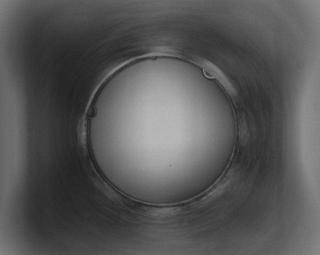 X0000100481292200806271154