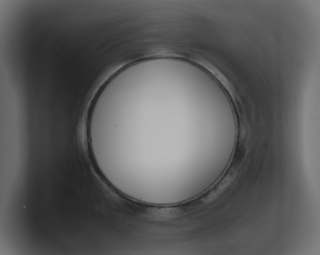 X0000100481293200806271154