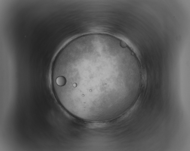 X0000100481294200806271154