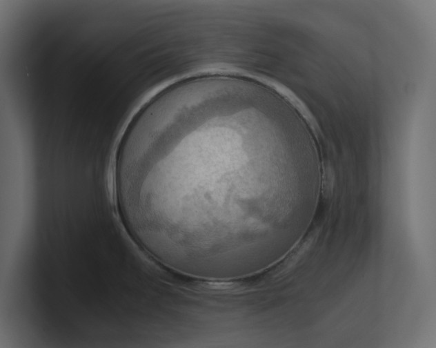X0000100481295200806271154