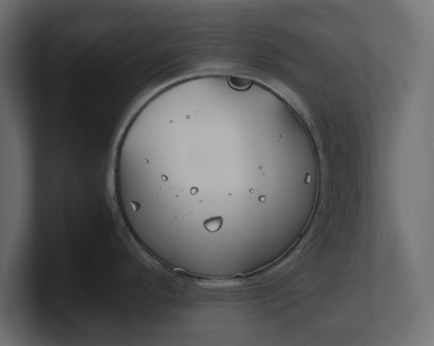 X0000100481296200806271154