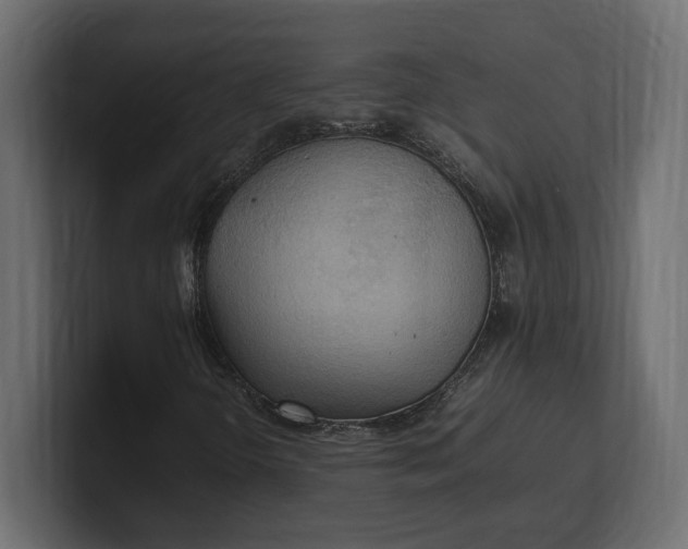 X0000100481298200806271154