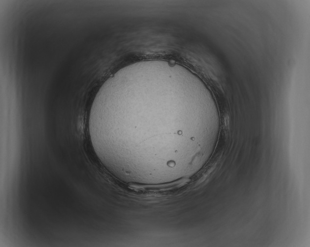 X0000100481300200806271154