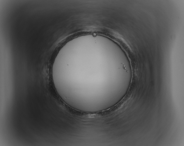 X0000100481304200806271154