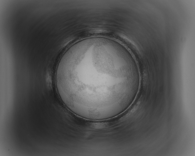 X0000100481305200806271154