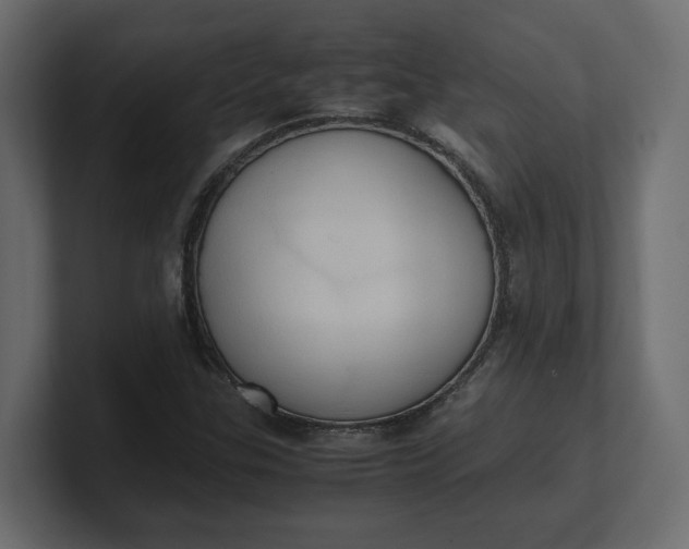 X0000100481307200806271154