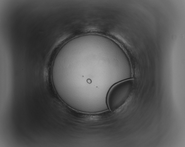 X0000100481309200806271154