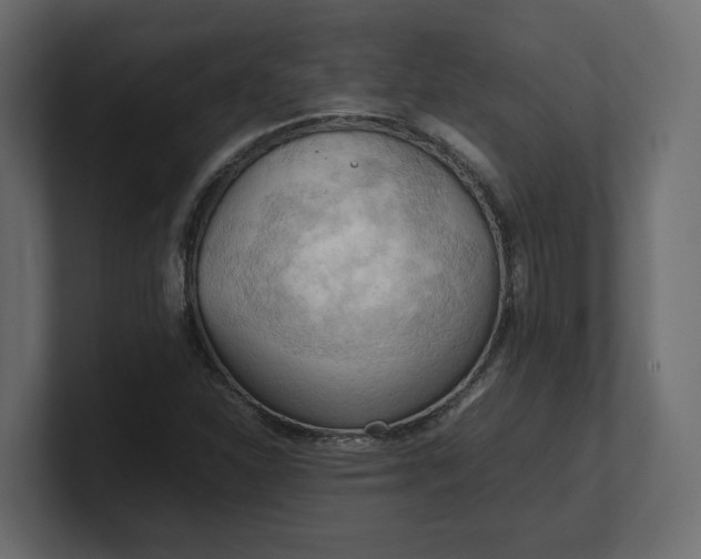 X0000100481310200806271154
