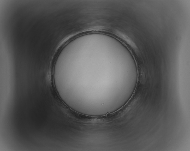 X0000100481316200806271154
