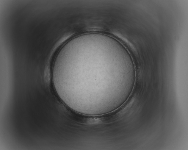 X0000100481317200806271154