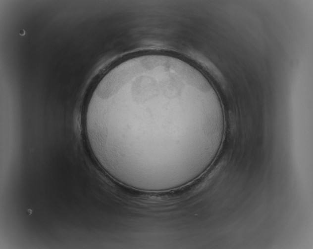 X0000100481318200806271154