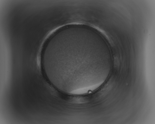 X0000100481319200806271154