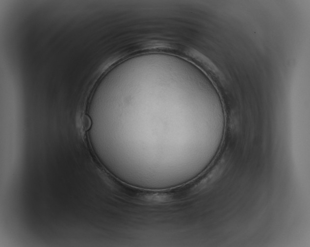 X0000100481321200806271154