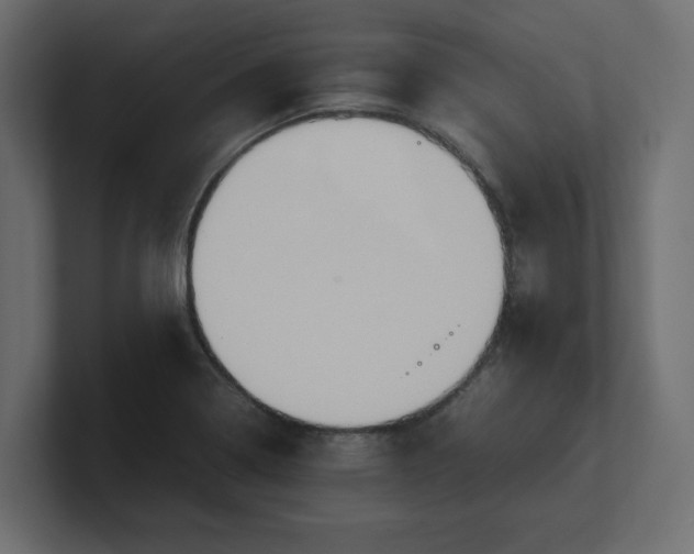 X0000100481322200806271154