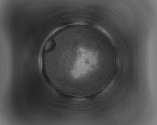 X0000100481323200806271154