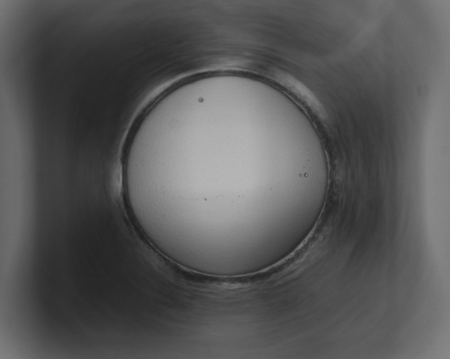 X0000100481324200806271154