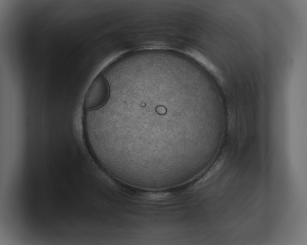 X0000100481325200806271154