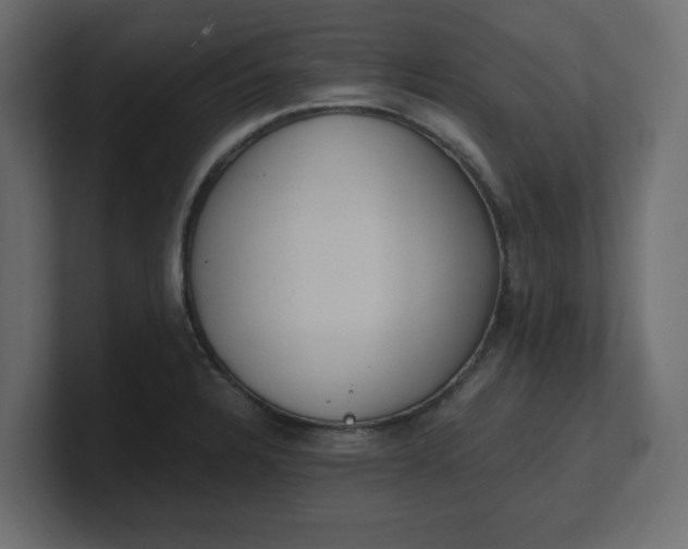 X0000100481328200806271154