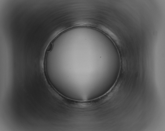X0000100481330200806271154